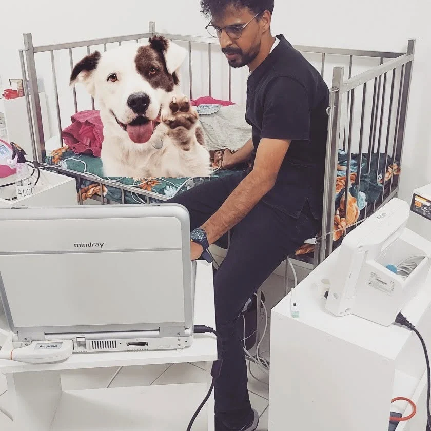 Terapia intensiva
